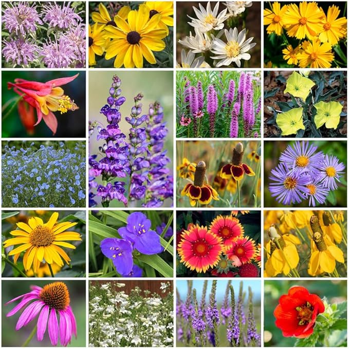 Grow Your Own Vibrant Perennial Wildflower Garden Seeds Mixture, Varieties for Pollinators and Spring Gardens - Native Perennial Mix, 50 lbs