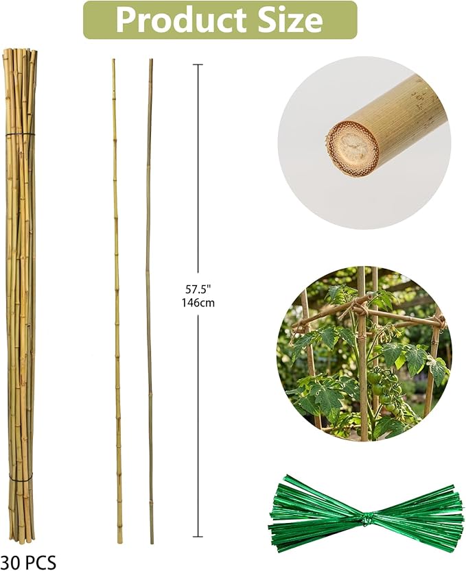 Plant Stakes Natural Bamboo Sticks - 30 Pcs Bamboo Garden Stakes for Plants 4.8 FT Plant Support Sticks with Twist Ties for Tomatoes Beans Flowers Indoor Outdoor Potted Climbing Plants