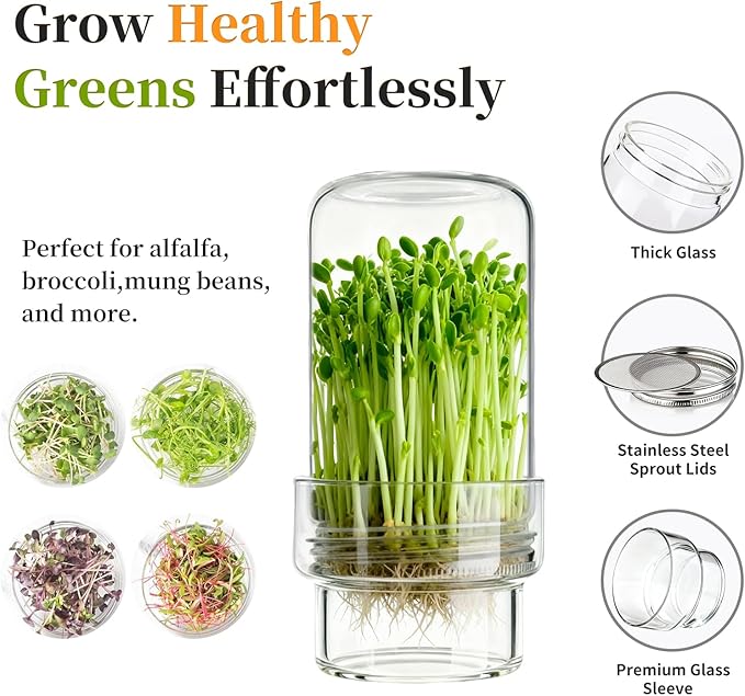 Updated Sprouting Kit - 2 Sprouting Jar Kits, Wide Mouth Quart Mason Jars | Broccoli, Microgreens, Alfalfa Sprout Jar | Perfect for Home Gardeners, Health Enthusiasts & Vegan Diets