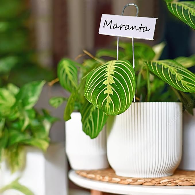 Plant Labels Metal Garden Plant Markers Plant Marking Plant Labeling Weatherproof Garden Stake Tag Plant Tags with Pen for Seedling Nursery Flower Herb Vegetable Greenhouse(30 Pack) (White)
