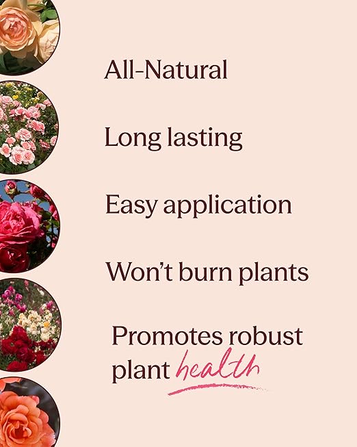 Heirloom Roses Founder’s Fish Fertilizer, Plant Food for Plants, Organic Liquid Emulsion Fertilizer, Garden Fertilizers for Rose Flower and Tomato Outdoor Gardening, 32 Fl Ounces, Pack of 2