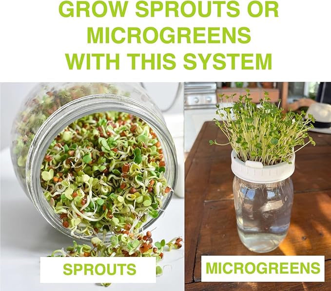 Premium Seed Sprouting Kit & Green Onion Regrower – 2 Wide-Mouth Mason Jars with Sprout Lids, Stainless Stand, Drain Tray, Blackout Sleeves & Cleaning Brush for Broccoli, Alfalfa & Mung Beans