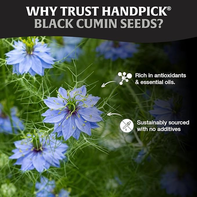 HANDPICK Black Cumin Seed (14oz) Pure Nigella Seeds - No Salt or Preservatives, Non GMO | Indian Black Whole Cumin | Gluten Free, Aromatic & Farm Fresh Kalonji | Resealable Zip Lock Pouch