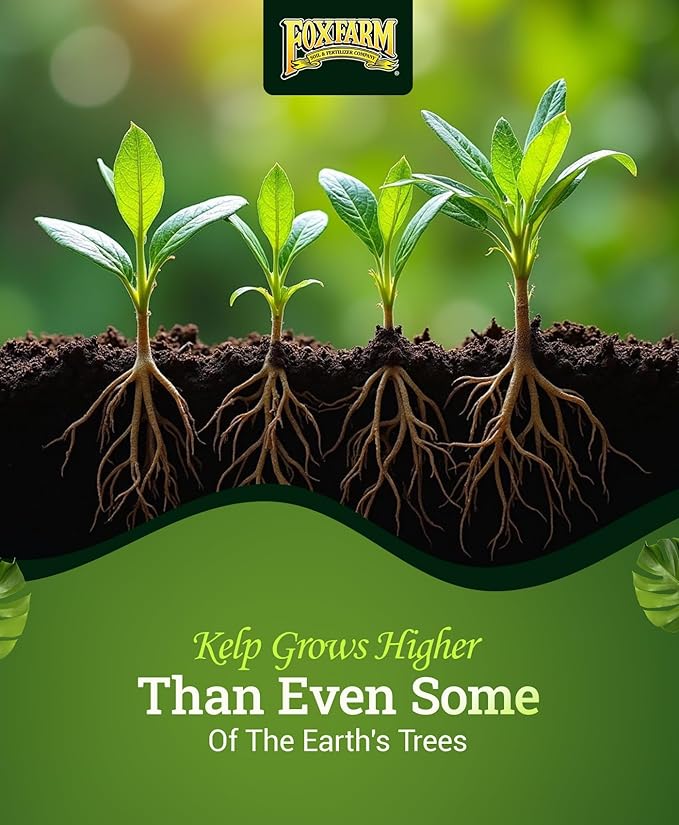 FoxFarm Bush Doctor Kelp Me Kelp You Seaweed Plant Food - 0.5-0-0.5 Liquid Kelp Fertilizer for Gardens, Hydroponic & Drip Irrigation Systems - Nutrient Uptake & Plant Growth - 1 Pint