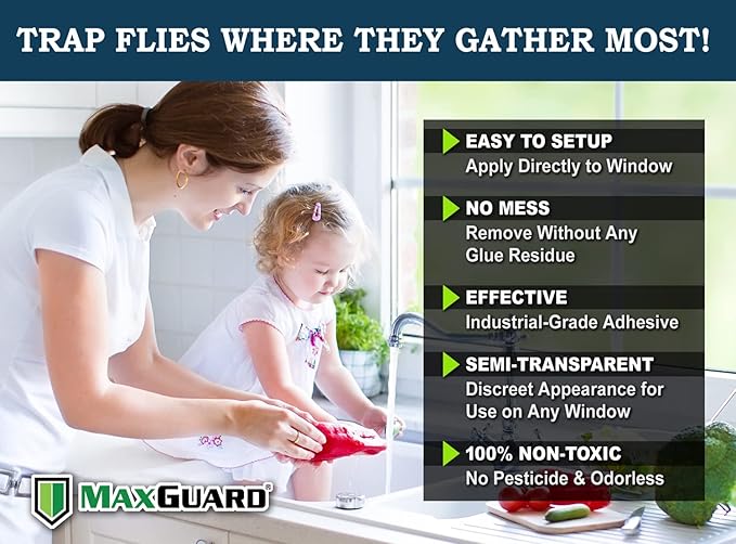 MaxGuard Window Fly Traps (60 XL Traps) Catch & Kill Houseflies, Flying Insects & Bugs. Non-Toxic Sticky Glue Traps Fly Killer Clear Strip Insect Catcher Safe No Zapping with Zapper |