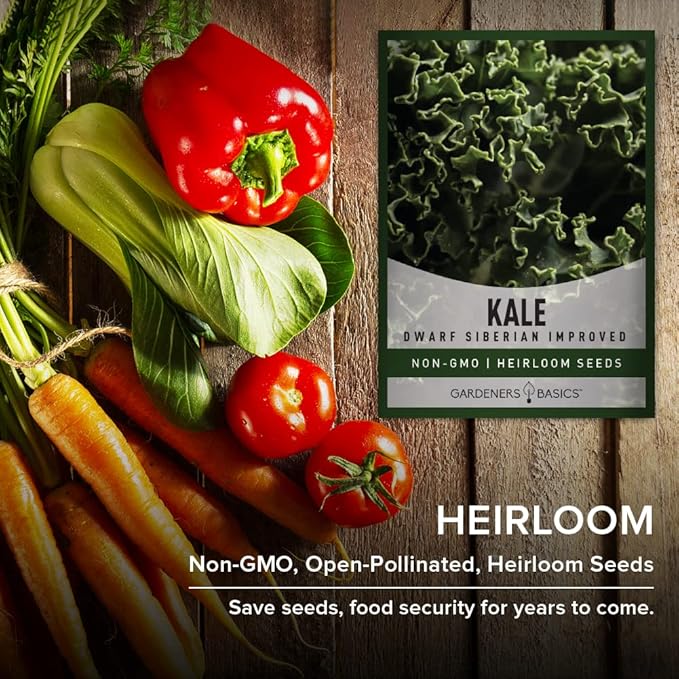 Gardeners Basics Kale Seeds for Planting, Heirloom, Non-GMO Vegetable Variety - Great for Indoor, Outdoor, and Hydroponics Gardening (Dwarf Siberian Improved)