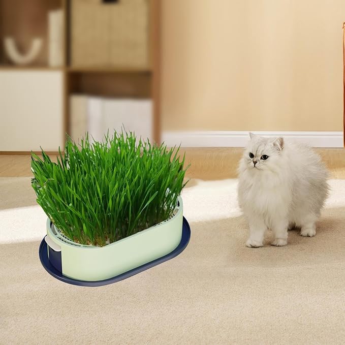 Cat Grass Germination Starter Planter Sprouting Tray Accessories for Soilless Planting Multifunctional Wheatgrass Growing Pot, Dark and Light Green