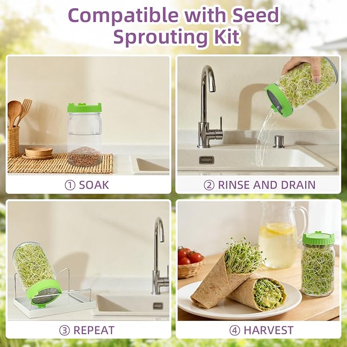 Organic Alfalfa Sprout Seeds (16 oz), Certified Non-GMO, Heirloom Seeds, Premium Alfalfa Sprouting Seeds for Sprouting and Microgreens, High Yield High Germination, Resealable Bag
