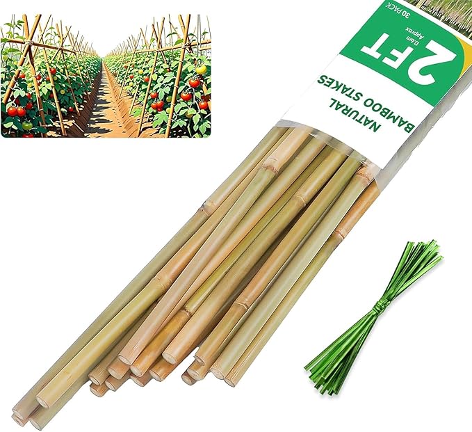 2ft Natural Bamboo Plant Stakes for Tomatoes, Beans, Flowers, Potted, Climbing Plants 30pcs