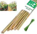 2ft Natural Bamboo Plant Stakes for Tomatoes, Beans, Flowers, Potted, Climbing Plants 30pcs