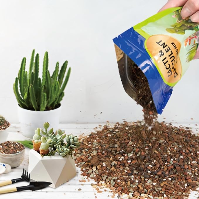 Succulent & Cactus Soil Potting Mix 1qt, Chunky Dirt with Fast Draining Fits for Bonsai, Terrarium and Houseplant