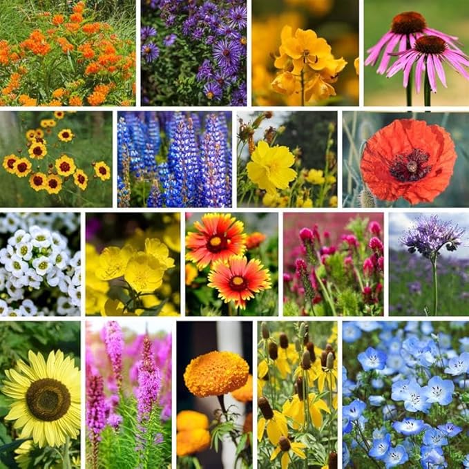 Bee-Friendly Wildflower Mix Seeds - 5 Grams - Non-GMO, Open Pollinated Flower Seed Blend to Attract Bees, Pollinators, and Butterflies - Suitable for Garden Beds, Containers, or Open Spaces