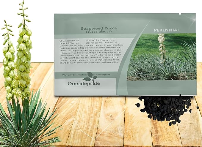 Outsidepride Soapweed Glauca Yucca Seeds for Planting - 100 Pcs Drought Tolerant Flower Seeds with Evergreen Foliage & Pollinator-Friendly Flowers, for Xeriscaping, Dry or Sandy Landscapes