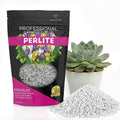 Professional Perlite for Plants 2.2 Quarts, Medium Grade Perlite Soil Additive for Indoor Outdoor Plants, Perlite for Gardening, Lightweight pH Neutral Soil Amendment, Made in USA