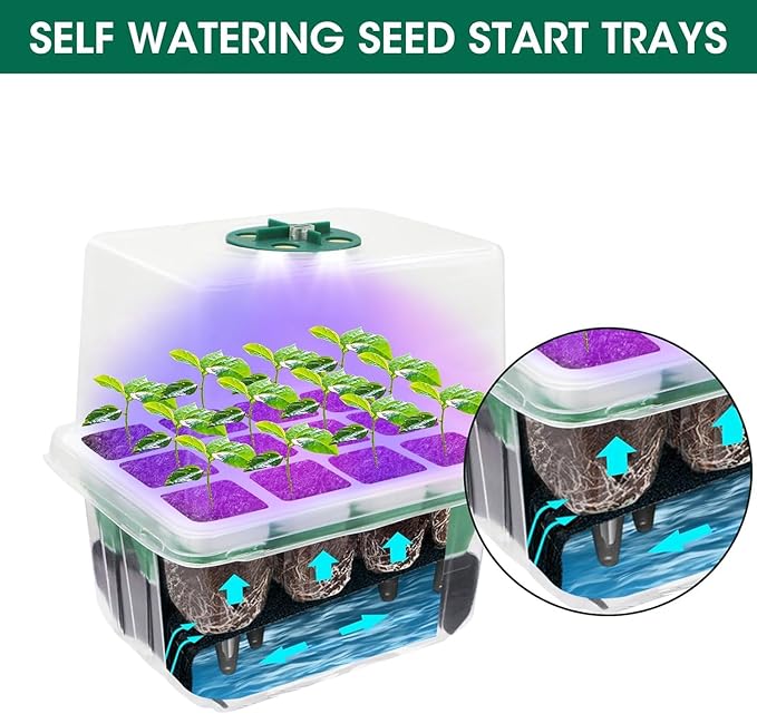 Seed Starter Tray with Grow Light,5 Pack 60 Cells Seedling Tray Kit Reusable & Dishwasher Safe for Starting Vegetable, Flower & Herb Seeds Indoor Grow Kit for Deep-Rooted Seedlings
