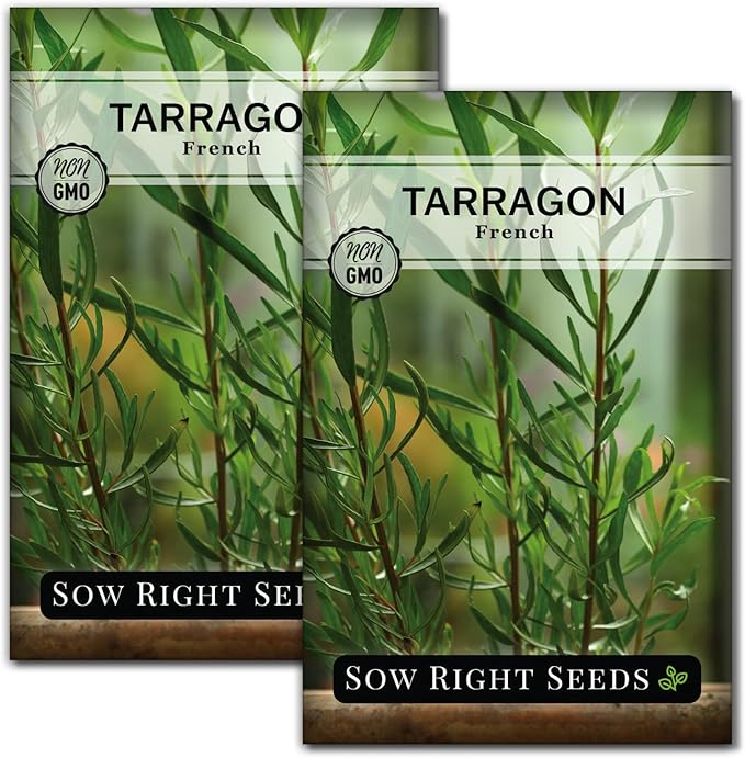 Sow Right Seeds - French Tarragon Seeds for Planting - Non-GMO Heirloom Packet with Instructions to Plant an Outdoor or Indoor Herb Garden - Culinary Leafy Green - Long Lasting Perennial Seasoning (2)