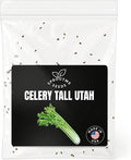Celery Tall Utah Seeds for Planting – 200+ Heirloom Celery Seeds, Crisp Stalks, Non-GMO, High Germination, Indoor & Outdoor Garden (Apium graveolens VAR. Dulce)