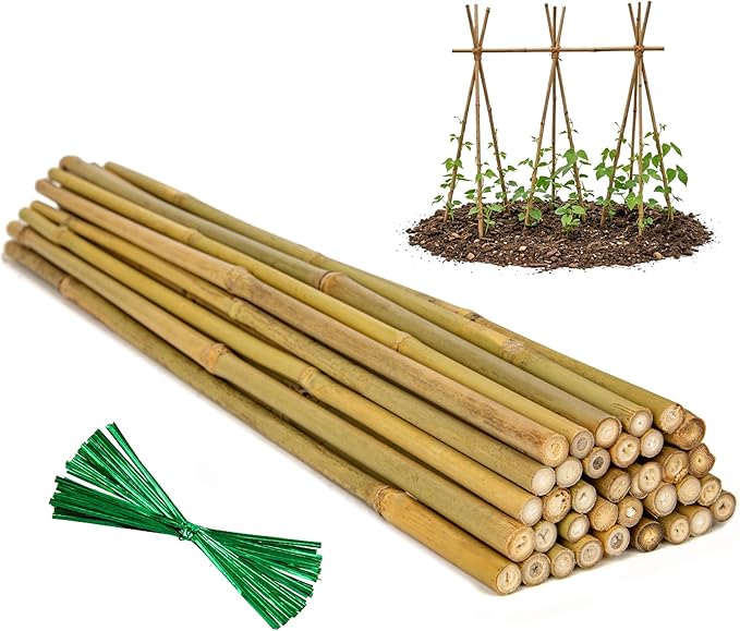 Plant Stakes Natural Bamboo Sticks - 35 Pcs Bamboo Garden Stakes for Plants 4 FT Plant Support Sticks with Twist Ties for Tomatoes Beans Flowers Indoor Outdoor Potted Climbing Plants
