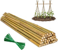 Plant Stakes Natural Bamboo Sticks - 35 Pcs Bamboo Garden Stakes for Plants 4 FT Plant Support Sticks with Twist Ties for Tomatoes Beans Flowers Indoor Outdoor Potted Climbing Plants
