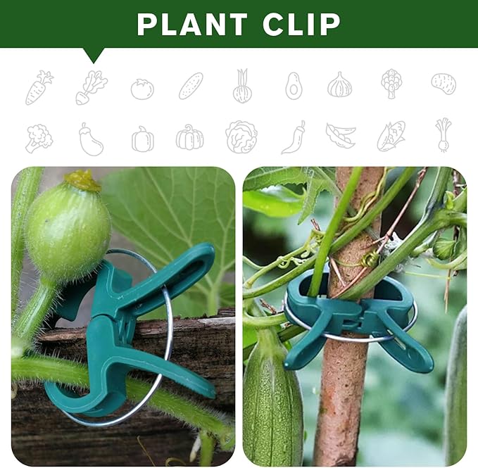 Plant Clips for Climbing Plants, Tomato Clips and Garden Clips for Vine Support, Plant Support Clips for Tomatoes and Garden use(Green, 60 Big)