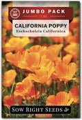 Sow Right Seeds - California Poppy Seeds for Planting - 1 Ounce, 21,000 Seeds - Non-GMO Heirloom Jumbo Pack with Instructions to Grow a Beautiful Flower Garden - Grow an Abundance of Orange Blooms
