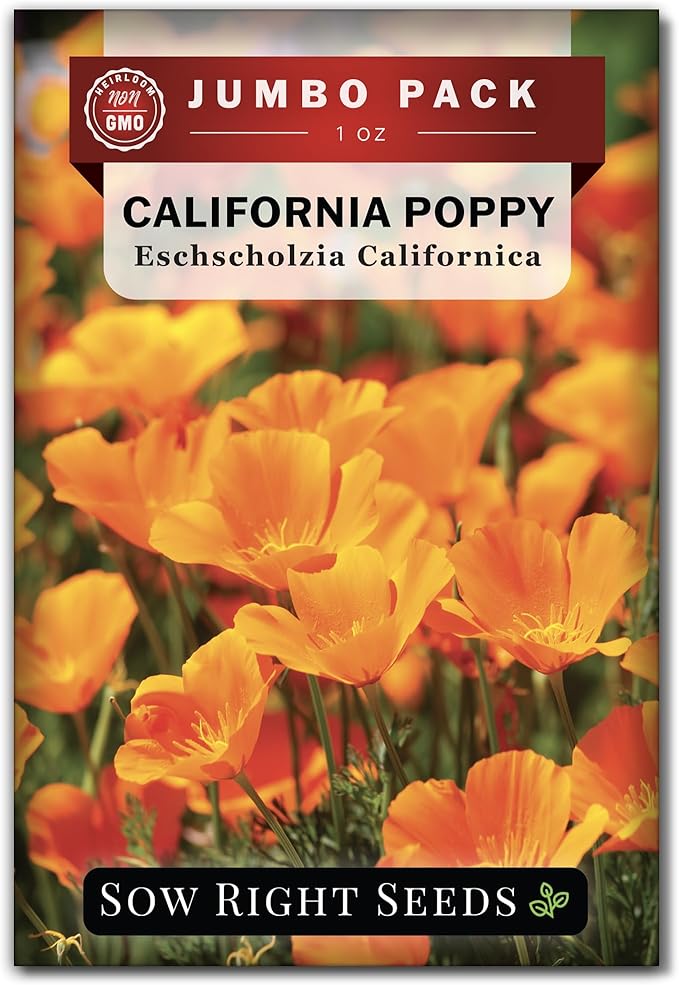 Sow Right Seeds - California Poppy Seeds for Planting - 1 Ounce, 21,000 Seeds - Non-GMO Heirloom Jumbo Pack with Instructions to Grow a Beautiful Flower Garden - Grow an Abundance of Orange Blooms