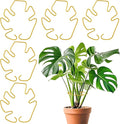 Monstera Plant Support for Indoor Plants Metal Plant Stem Holder Plant Support Ring for Climbing Plants Stem Stabilizer (6.29 * 7.08inch/ 5)