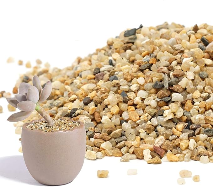 Coarse Sand Stone 1LB Decorative Rocks Sand Stone,Mix Coarse Sand for Plants,Soil Cover Bonsai,Succulent,Terrarium,Course,Garden,Cactus Sand, Aquarium, Fairy Garden, DIY.