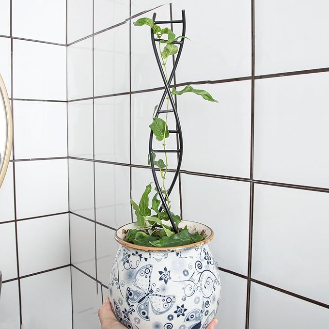 Yohsnor 3 Pcs Indoor Plant Trellis Set - Black Metal DNA Design for Potted Plants, Small Houseplants & Climbing Support - Modern Home Decor & Vertical Garden Display - Perfect for Indoor & Outdoor Use
