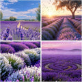 4005+ Mix Lavender Seeds for Planting - Delphinium Flower Seeds Non GMO Heirloom -Larkspur Seed Deer Resistant Wildflower Flower for Garden Outdoor