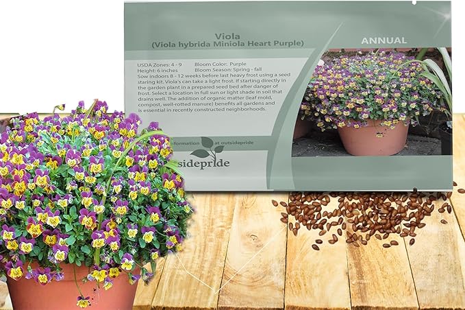 Outsidepride Miniola Heart Purple Violet Seeds for Planting - 100 Pcs Annual, Compact & Pollinator Friendly Viola Flower Seed w/Purple and Yellow Blooms, Ideal for Garden Borders & Container Displays