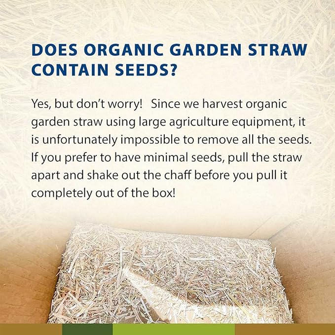 Blue Mountain Hay Organic Garden Straw (25 lb) - Natural Mulch for Gardening, Flower Beds & Landscaping, New Lawn Grass Seeding, Compost, Raised Garden Bed, Cat Grass & Grass Seed