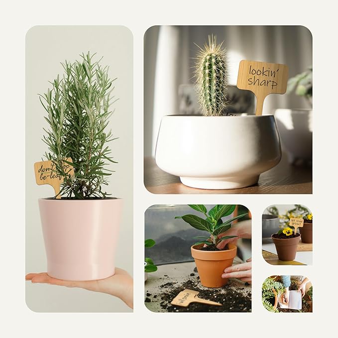 Bamboo Plant Labels & Garden Tags | 7" Long T-Type Wooden Garden Markers for Labeling Herbs, Seedlings, Vegetables, Cheeses, Appetizers, Desserts | 50 pcs