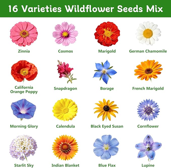 LUOJIBIE Wildflower Seeds Bulk, 10,000+ Flowers Seeds for Planting Outdoor, 16 Varieties Annual & Perennial Flowers Seeds Mix Color for Garden, 2 Oz Packet, Non-GMO, Attracts Pollinators, Easy to Grow