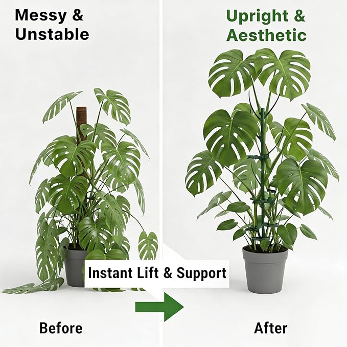 Tree Branch Plant Support Stakes – Stackable Plant Support Sticks with Clips & Velcro Tie – Natural Aesthetic Extendable Trellis for Indoor Plants, Monstera, Pot (Green-6 Pack)