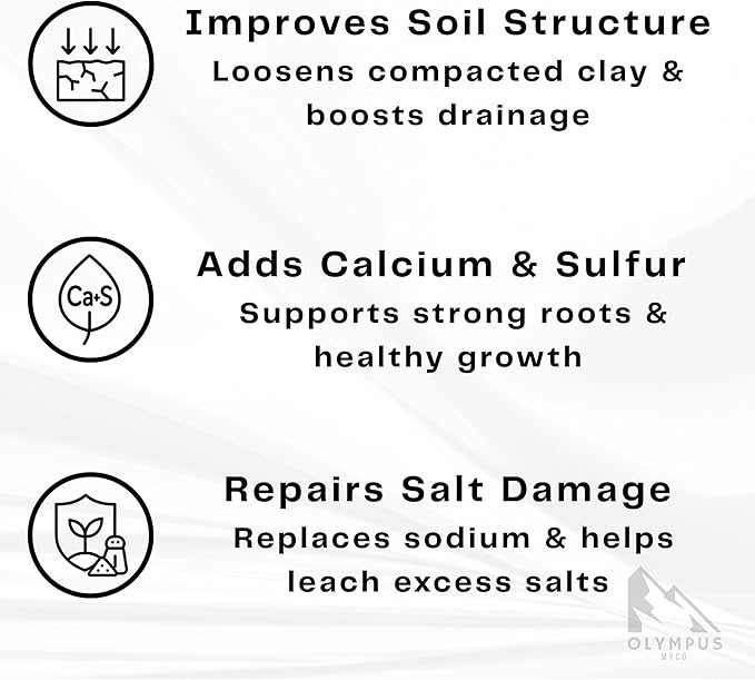 97% Pure Gypsum Powder, 5 lbs – High Solubility Calcium Sulfate Dihydrate for Soil, Gardens, Lawns, Soil Conditioner