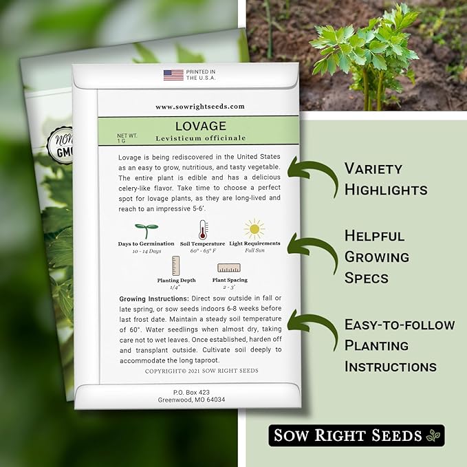 Sow Right Seeds - Lovage Seed for Planting - Culinary Herb to Plant in Your Home Herb Garden - Indoors or Outdoors - Flavorful and Productive Greens - Non-GMO Heirloom Seeds - Great Gardening Gift (1)