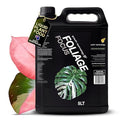 Growth Technology GT Foliage Focus – Liquid Indoor Plant Food Nutrient for Houseplants, Tropical Plants, Aroids, Ferns & Palms – Concentrated Formula for Vibrant Leaves & Dense Foliage – 5 Liters