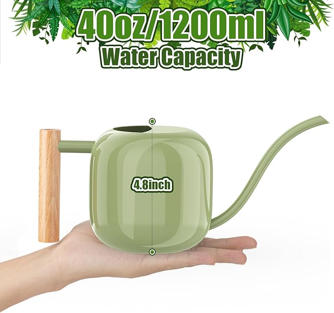 Green Moon Watering Can Indoor Plants 1.2L/41oz Sage Green Water Can Indoor Metal Small Water Can Pot with Long Spout for House Bonsai Plants Garden Flower Decorative