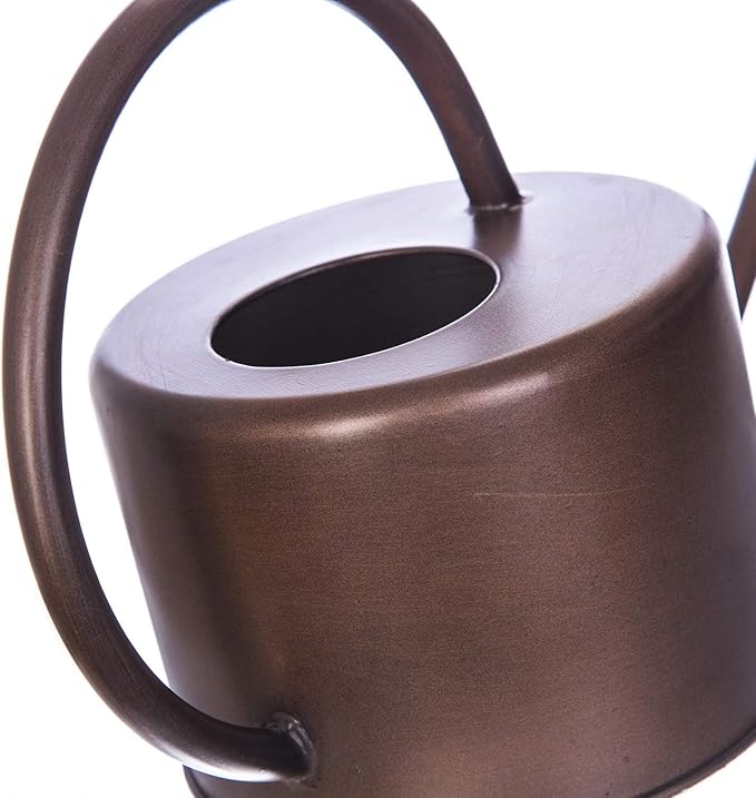 Topadorn 1.3L Watering Can for Indoor and Outdoor Plants - Long Spout Water Can for Garden, Flower, House Plants, Decorative Brown Watering Can