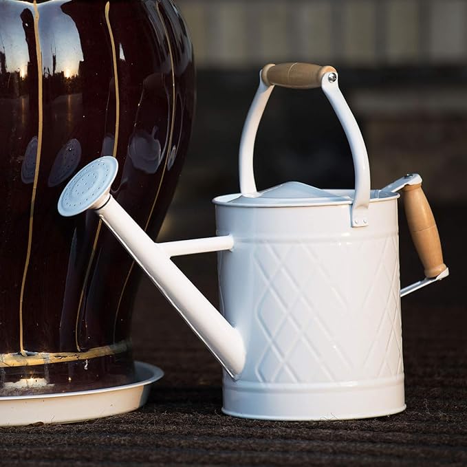 1 Gallon Watering Can with Wooden Handles, White, Galvanized, Metal Watering Can with Removable Spout, Perfect Water Can for Indoor and Outdoor Plants