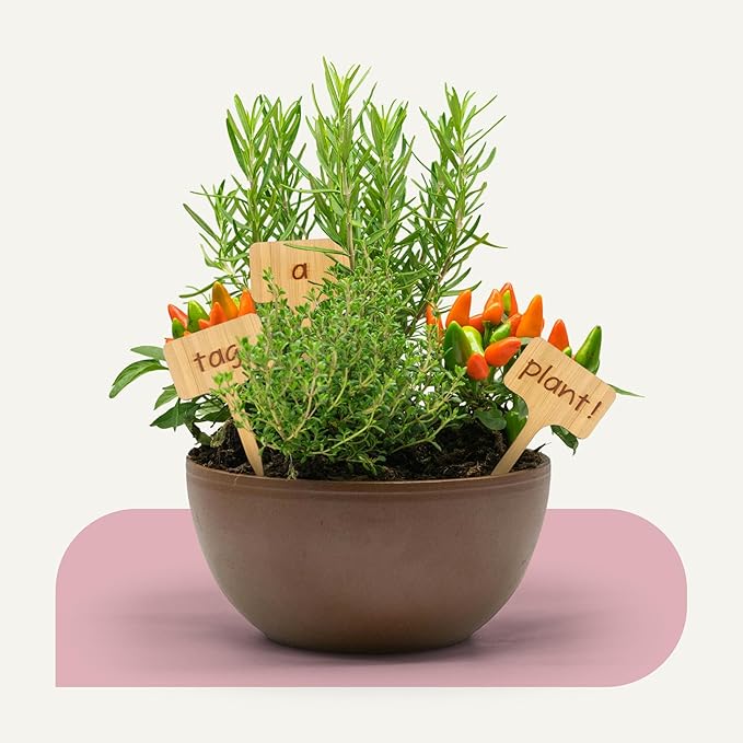 Bamboo Plant Labels & Garden Tags | 4" Short T-Type Wooden Garden Markers for Labeling Herbs, Seedlings, Vegetables, Cheeses, Appetizers, Desserts | 50 pcs