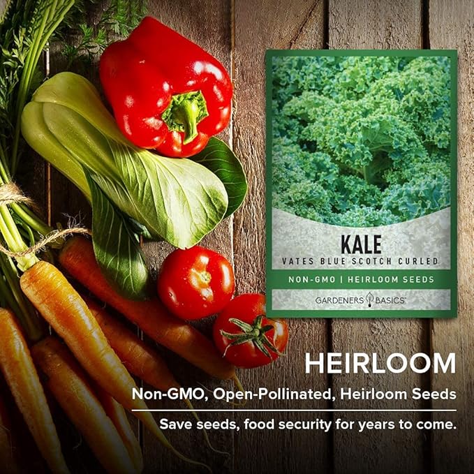 Gardeners Basics, Kale Seeds for Planting, Heirloom, Non-GMO Vegetable Variety - Great for Indoor, Outdoor, and Hydroponics Gardening (Vates Blue Scotch Curled)