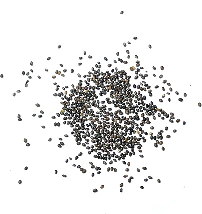 Seed Needs Summer Savory Seeds for Planting Herbs - Non-GMO Heirloom & Untreated Annual Herb Seed to Plant a Culinary Kitchen Garden Indoors or Outdoors (1 Pack)