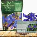 Outsidepride California Bluebell Wildflower Seeds - 1/4 Lb. Annual, Hardy, Easy-to-Grow, & Pollinator-Friendly Phacelia Campanularia Flower Seeds for Planting Vibrant Blue Blooms in Summer Gardens