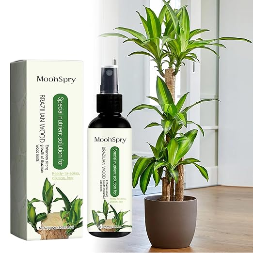 MoonSpry Brazilian lucky wood plant food, lucky bamboo liquid fertilizer,brazilian wood indoor houseplant fertilizer,bamboo indoor plant food,Fertilizantes de brasileña y árbol de la suerte,3pcs*100ml