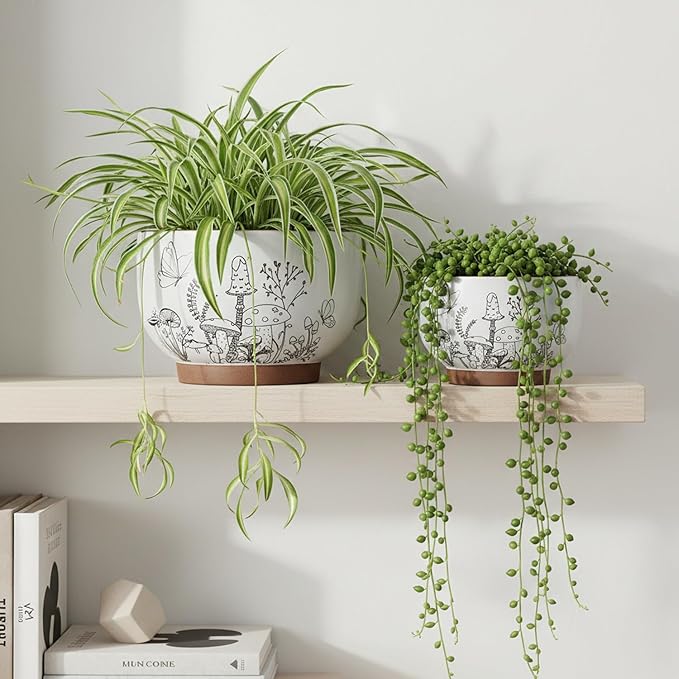 YBX 8 Inch & 6 Inch Terracotta Pots, Plant Pots, Flower Pots for Indoor Plants with Drainage, Planters with Mushroom Accent for Indoor Plants (Cottage)