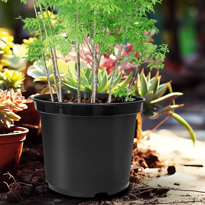 RooTrimmer 5 Gallon Nursery Pots 10-Pack, 12 Inch Plastic Planter with Drainage Holes – Round, Sturdy, Deep Design for Indoor/Outdoor Plants