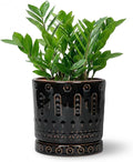 Eightpot 8 Inch Pots for Plants, Ceramic Plant Pot for Indoor Outdoor, Round Planter with Drainage Hole and Tray, Modern Flower Pot, Decorative Plant Pots, Room Decor, House Warming Gifts, Black