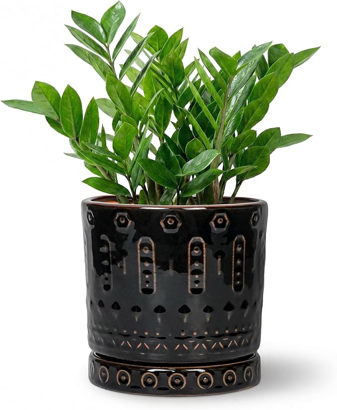 Eightpot 8 Inch Pots for Plants, Ceramic Plant Pot for Indoor Outdoor, Round Planter with Drainage Hole and Tray, Modern Flower Pot, Decorative Plant Pots, Room Decor, House Warming Gifts, Black